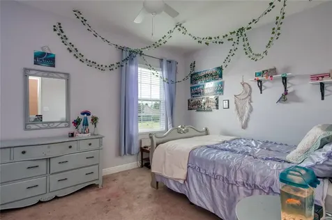8551 Winsome Way Land O Lakes FL 34637