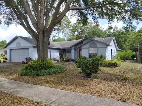 28314 International Court Wesley Chapel FL 33543