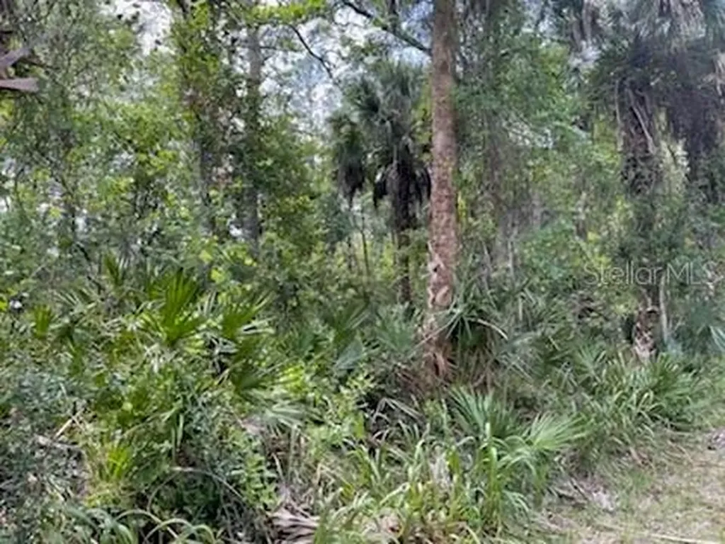 8107 W Mayfair Drive Homosassa FL 34448