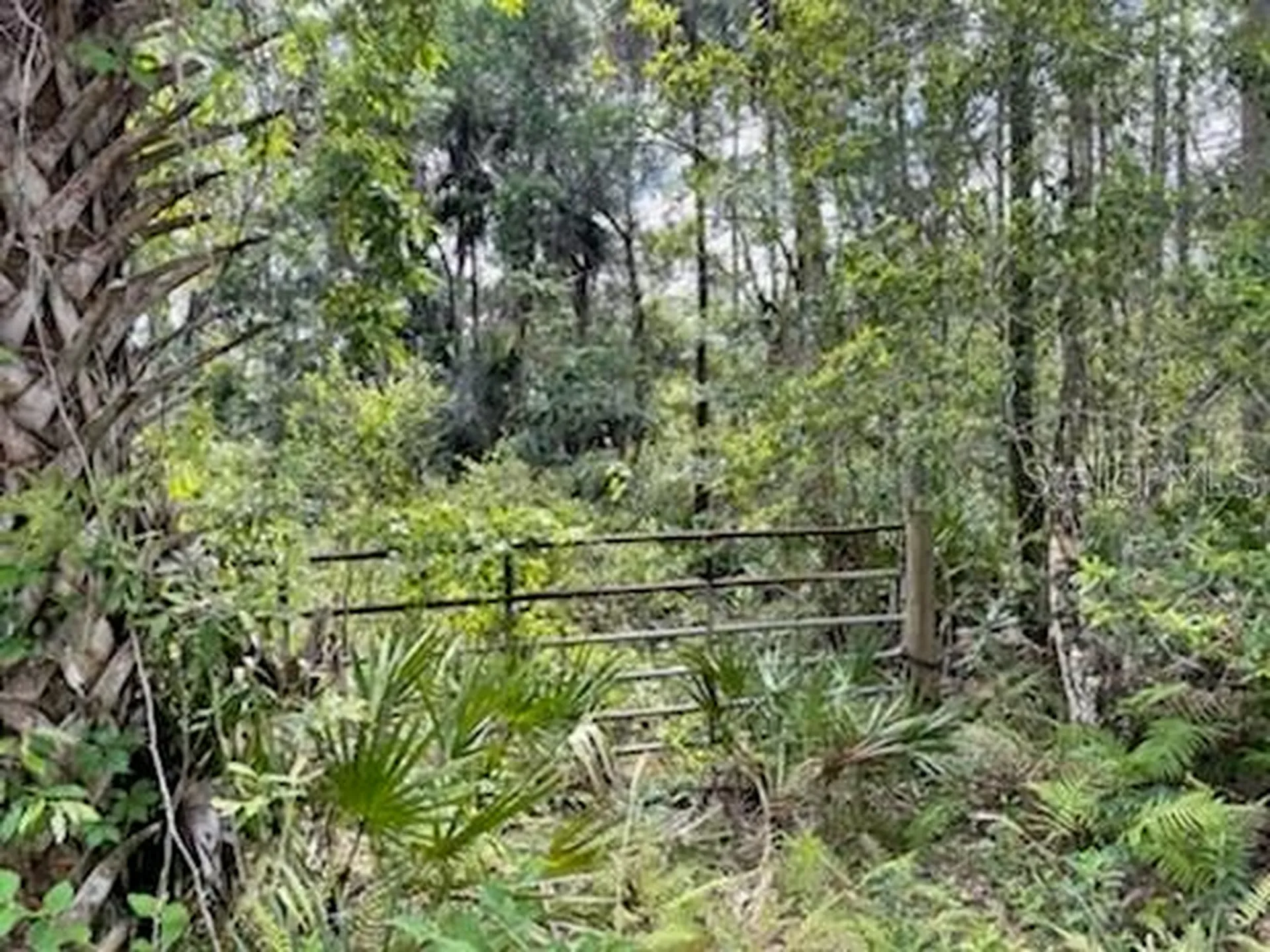 8107 W Mayfair Drive Homosassa FL 34448