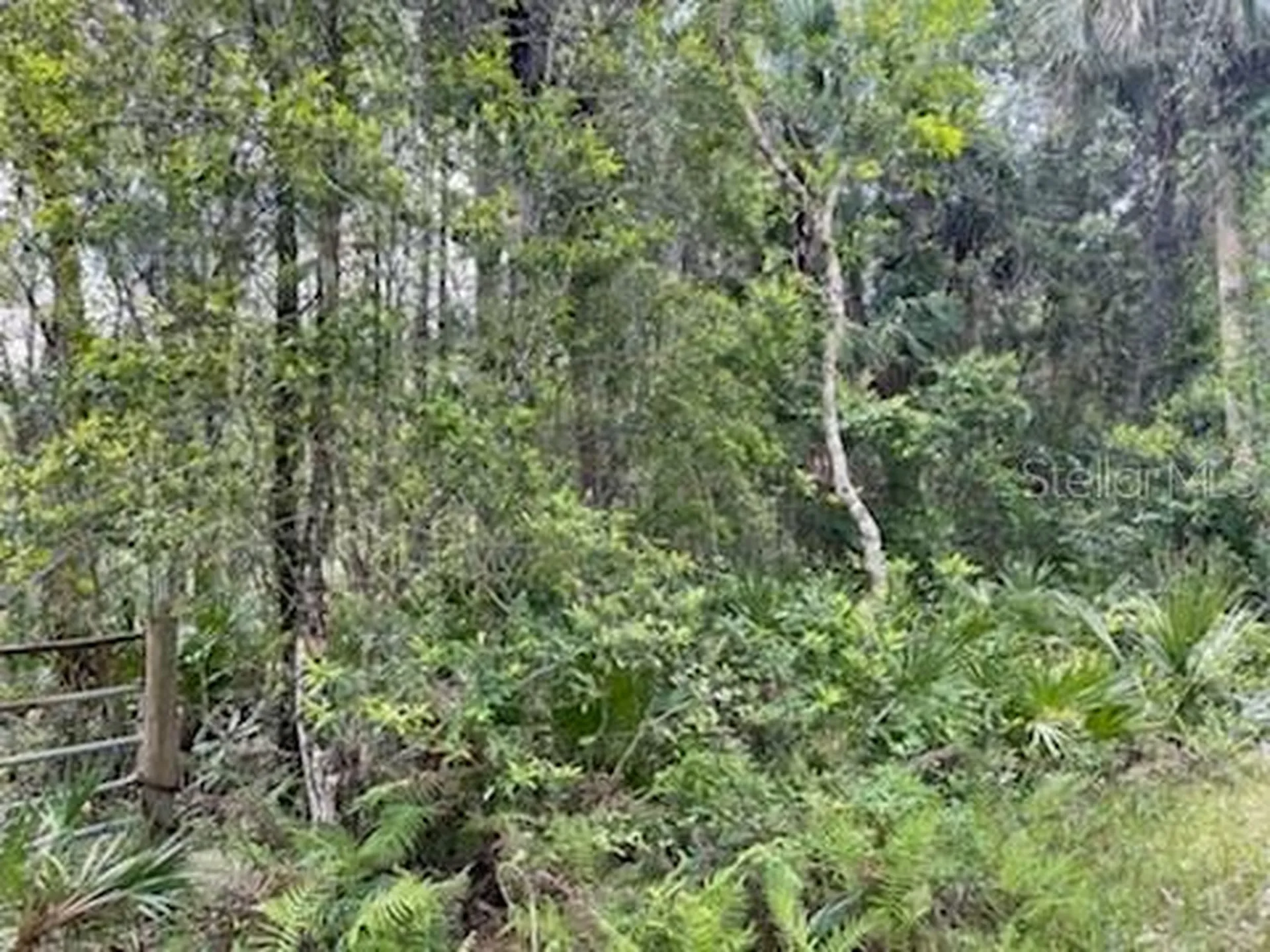 8107 W Mayfair Drive Homosassa FL 34448