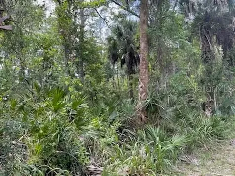 8107 W Mayfair Drive Homosassa FL 34448