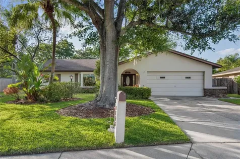 2126 Flamingo Place Safety Harbor FL 34695