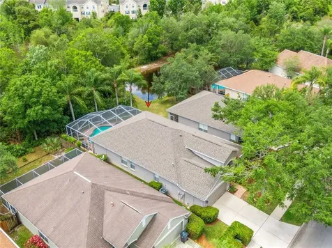 18114 Antietam Court Tampa FL 33647