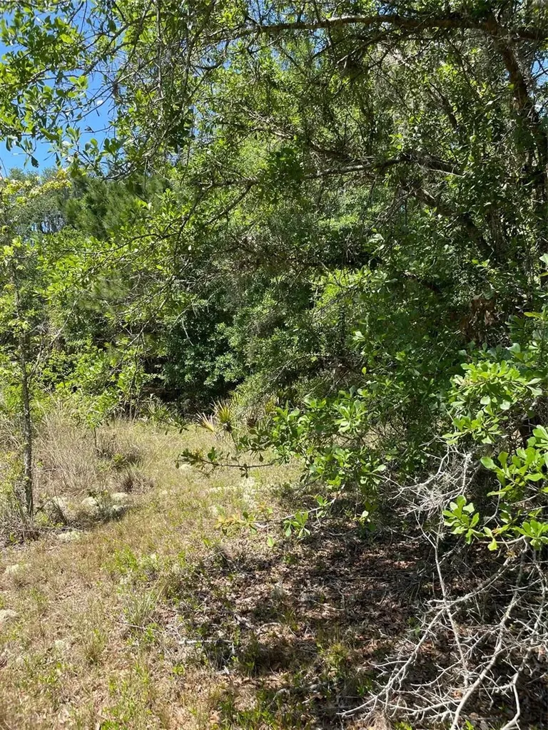 9368 E Riveroak Lane Inverness FL 34453