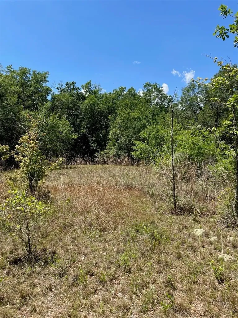 9368 E Riveroak Lane Inverness FL 34453