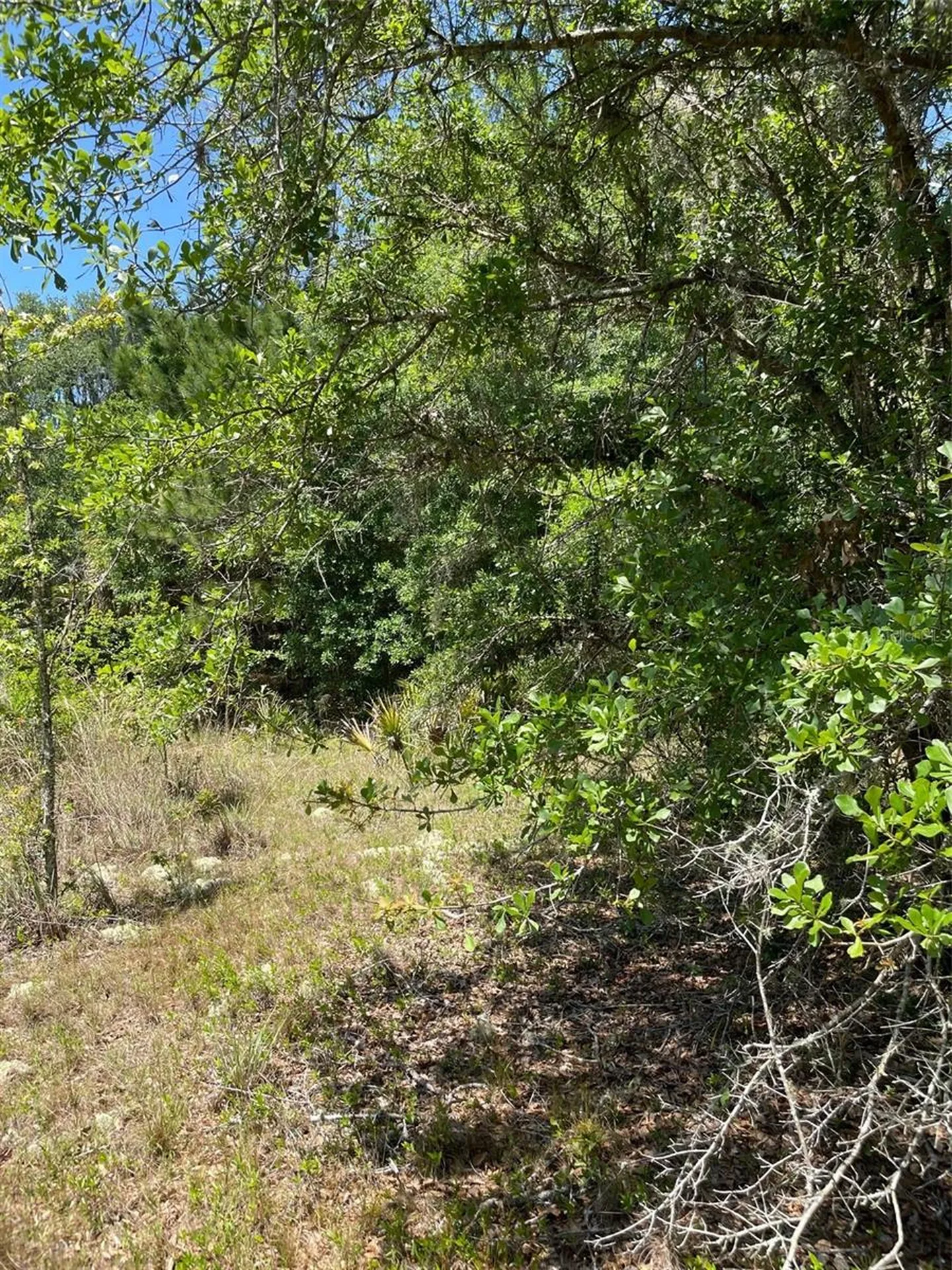 9368 E Riveroak Lane Inverness FL 34453