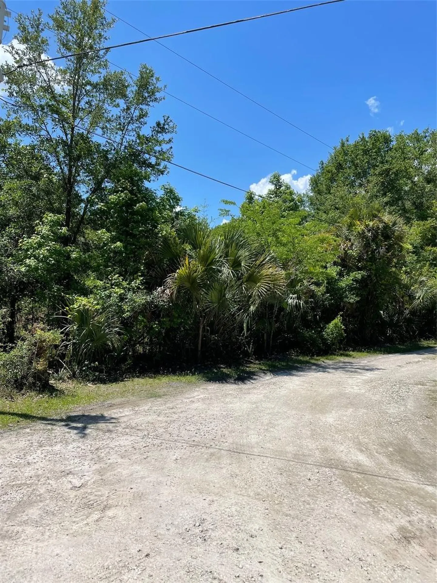 9368 E Riveroak Lane Inverness FL 34453