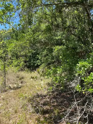 9368 E Riveroak Lane Inverness FL 34453