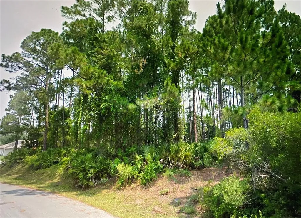 5 Becker Lane Palm Coast FL 32137