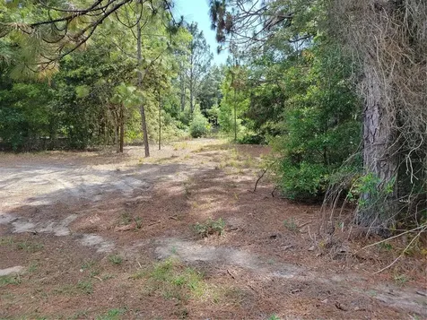 8654 N Fauci Point Crystal River FL 34428