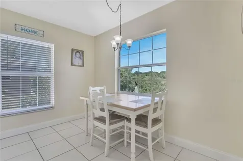 10541 Via De Robina Court Clermont FL 34711