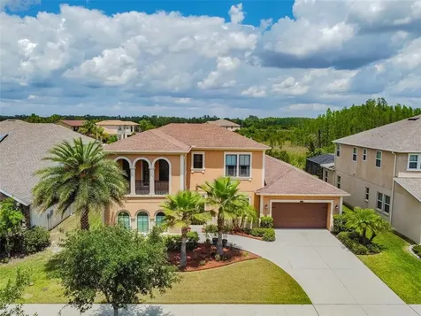 32216 Wenlock Loop Wesley Chapel FL 33543
