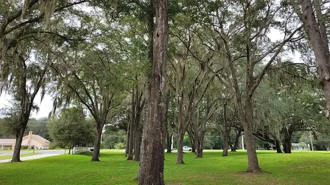 534 SE 66th Terrace Ocala FL 34472