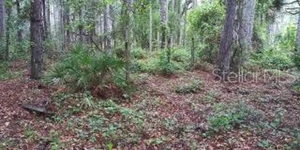 8050 SW 157th Lane Dunnellon FL 34432