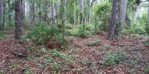 8050 SW 157th Lane Dunnellon FL 34432