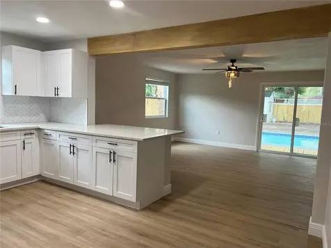 1217 E Norfolk Street Tampa FL 33604