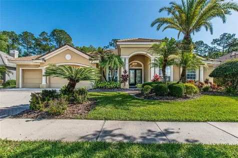 17215 Broadoak Drive Tampa FL 33647