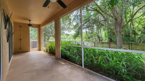 19144 Meadow Pine Drive Tampa FL 33647