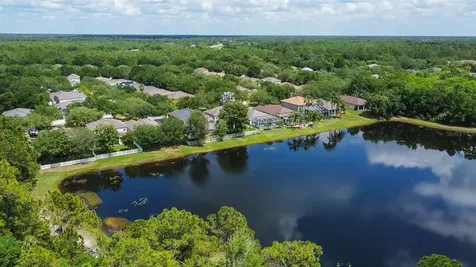 19144 Meadow Pine Drive Tampa FL 33647