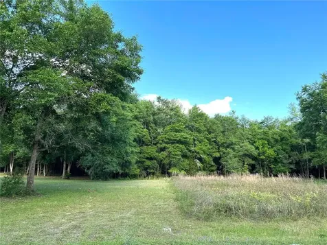 179 SW Greenwood Terrace Fort White FL 32038
