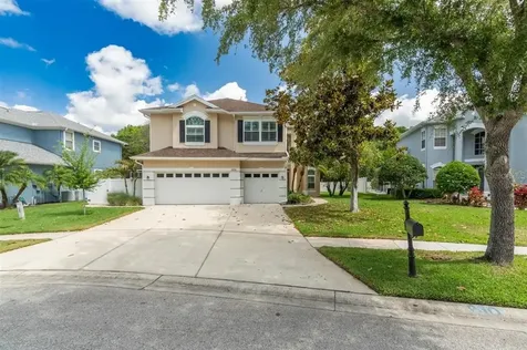 6006 Native Woods Drive Tampa FL 33625