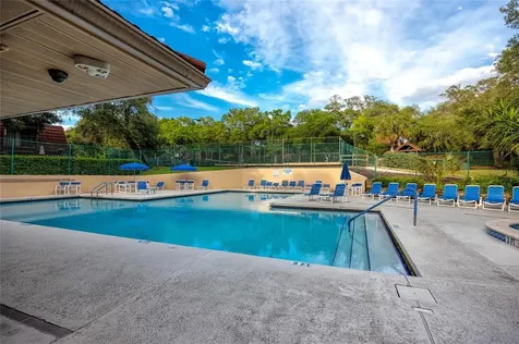 2704 5th Court Palm Harbor FL 34684