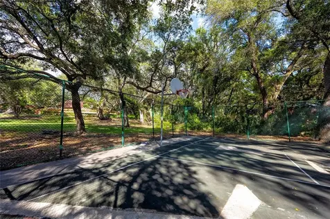 2704 5th Court Palm Harbor FL 34684
