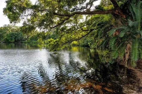 2704 5th Court Palm Harbor FL 34684