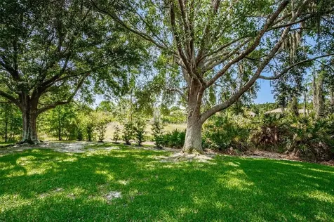 10101 Garden Retreat Court Tampa FL 33647