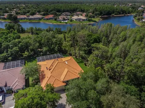 10101 Garden Retreat Court Tampa FL 33647