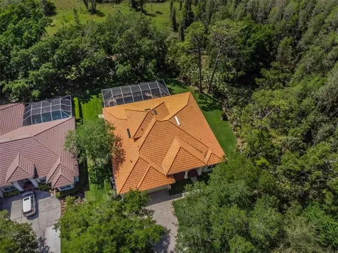 10101 Garden Retreat Court Tampa FL 33647