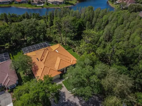 10101 Garden Retreat Court Tampa FL 33647
