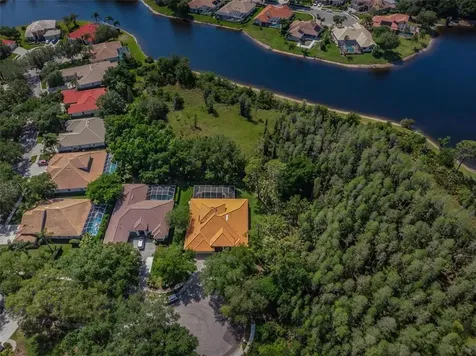 10101 Garden Retreat Court Tampa FL 33647