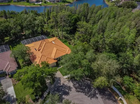 10101 Garden Retreat Court Tampa FL 33647
