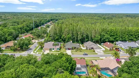 15118 Barby Avenue Tampa FL 33625
