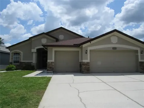 19744 Ellendale Drive Land O Lakes FL 34638