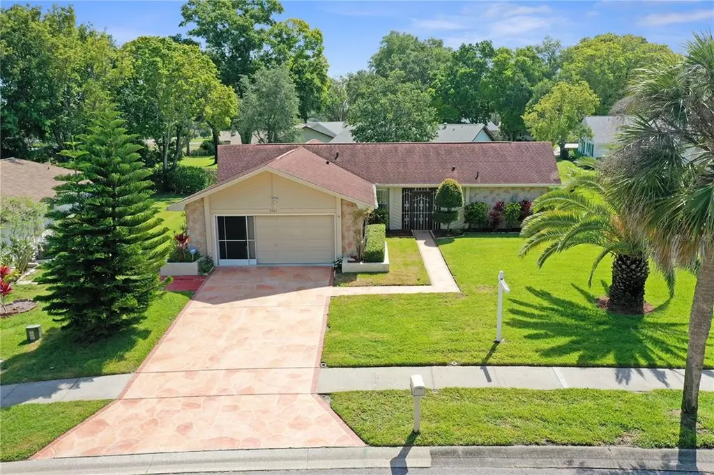 3361 E Dorchester Drive Palm Harbor FL 34684