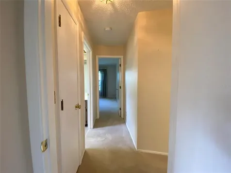 3361 E Dorchester Drive Palm Harbor FL 34684