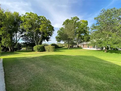 3361 E Dorchester Drive Palm Harbor FL 34684