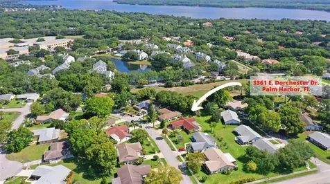 3361 E Dorchester Drive Palm Harbor FL 34684
