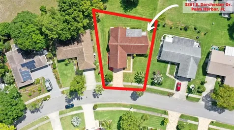 3361 E Dorchester Drive Palm Harbor FL 34684