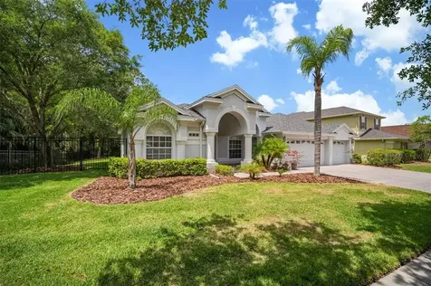 17308 Emerald Chase Drive Tampa FL 33647