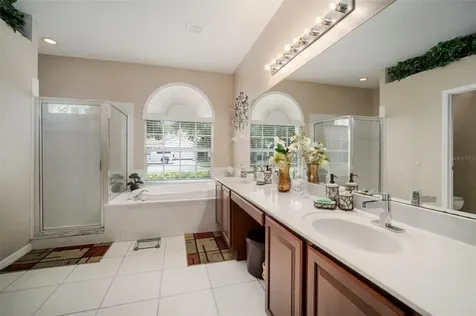 17308 Emerald Chase Drive Tampa FL 33647