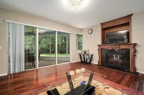 17308 Emerald Chase Drive Tampa FL 33647