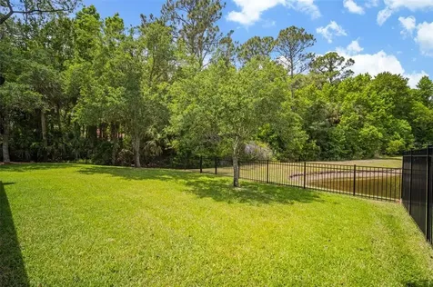 17308 Emerald Chase Drive Tampa FL 33647