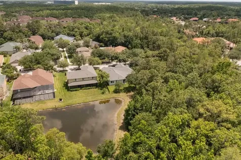 17308 Emerald Chase Drive Tampa FL 33647