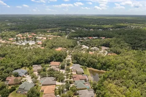 17308 Emerald Chase Drive Tampa FL 33647