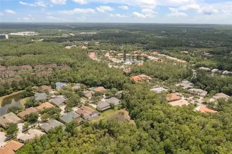 17308 Emerald Chase Drive Tampa FL 33647