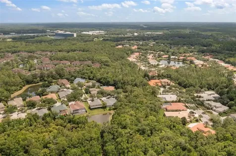 17308 Emerald Chase Drive Tampa FL 33647